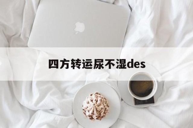 四方转运尿不湿des